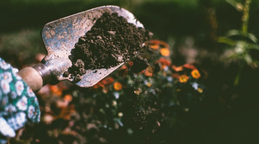 Best Mulch for Autumn: How to Insulate Garden Beds & Protect Soil for Winter