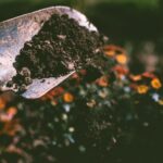 Best Mulch for Autumn: How to Insulate Garden Beds & Protect Soil for Winter