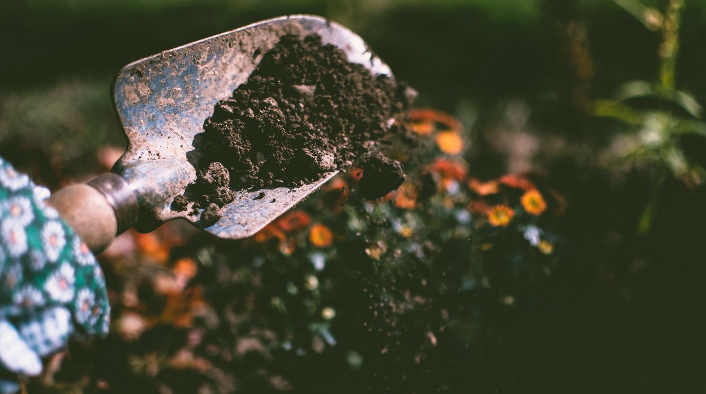 Rich organic shredded bark mulch applied around autumn perennial flower borders