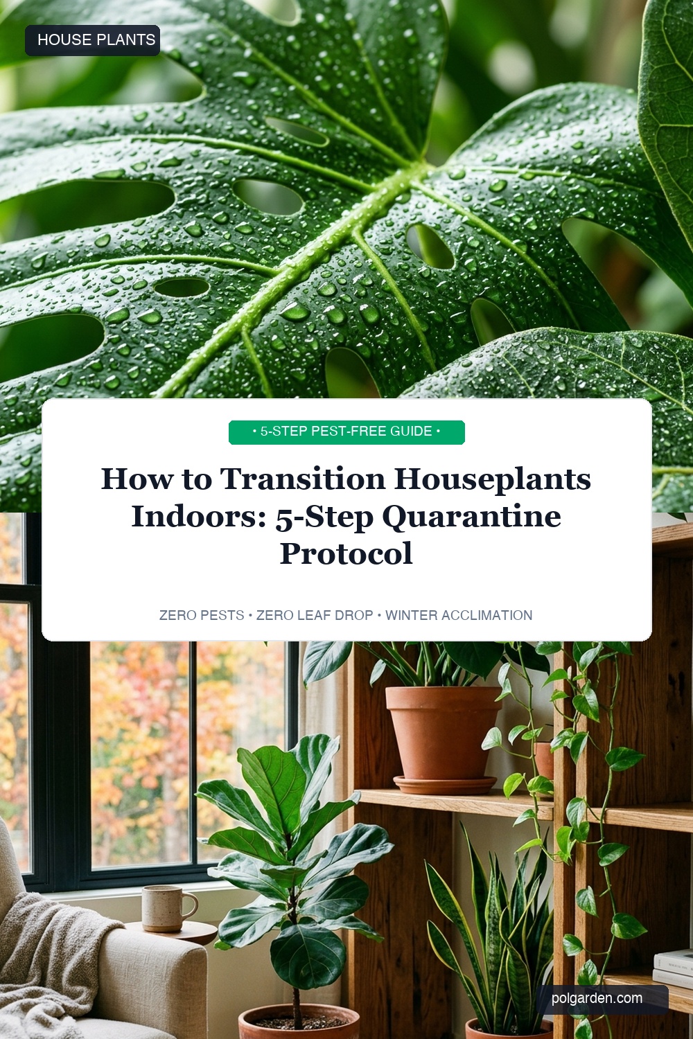 How to Transition Houseplants Indoors for Fall Pinterest Pin
