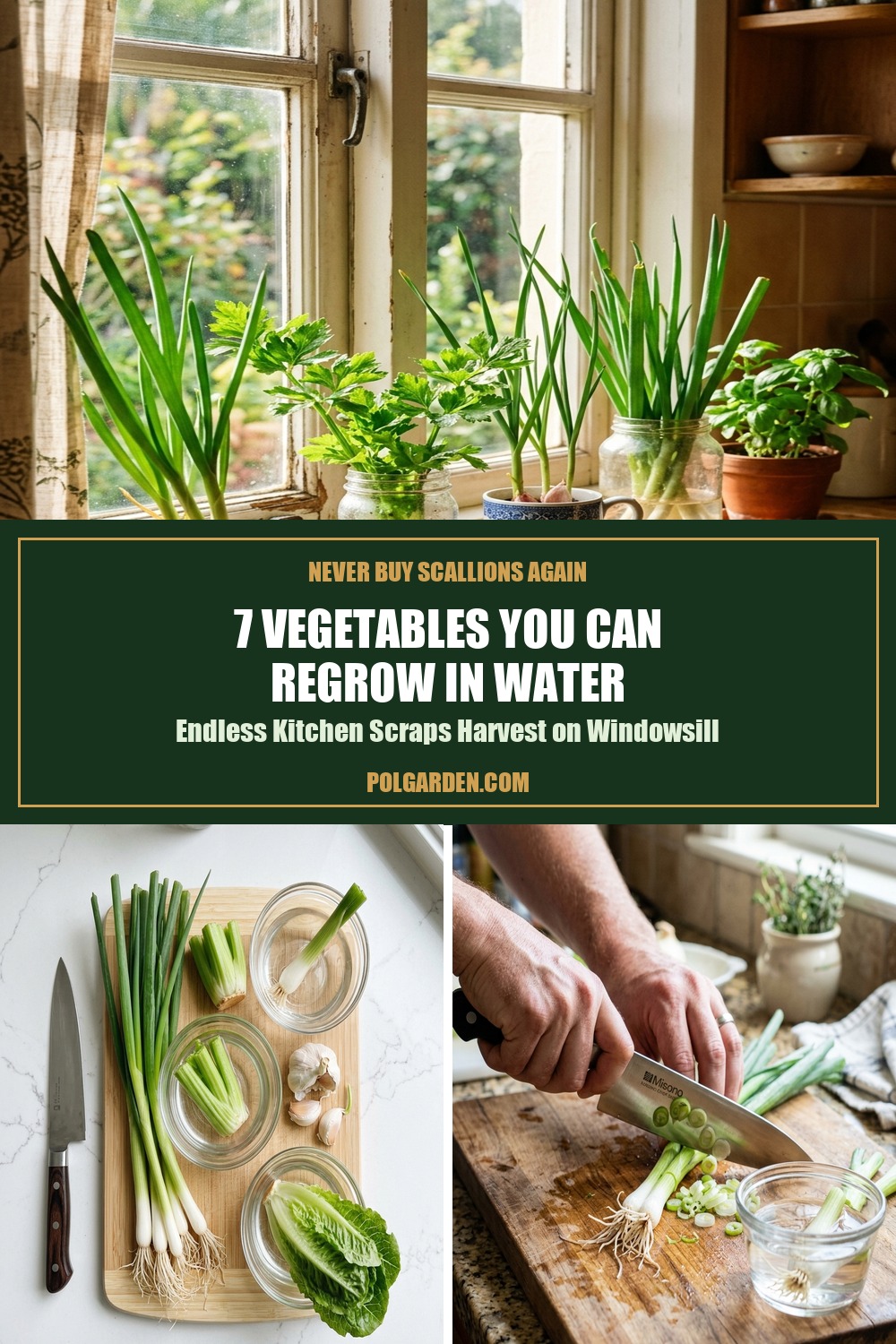 7 Vegetables You Can Regrow in Water Pinterest Pin