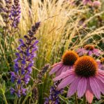 How to Design a Perennial Flower Border for Continuous Year-Round Color