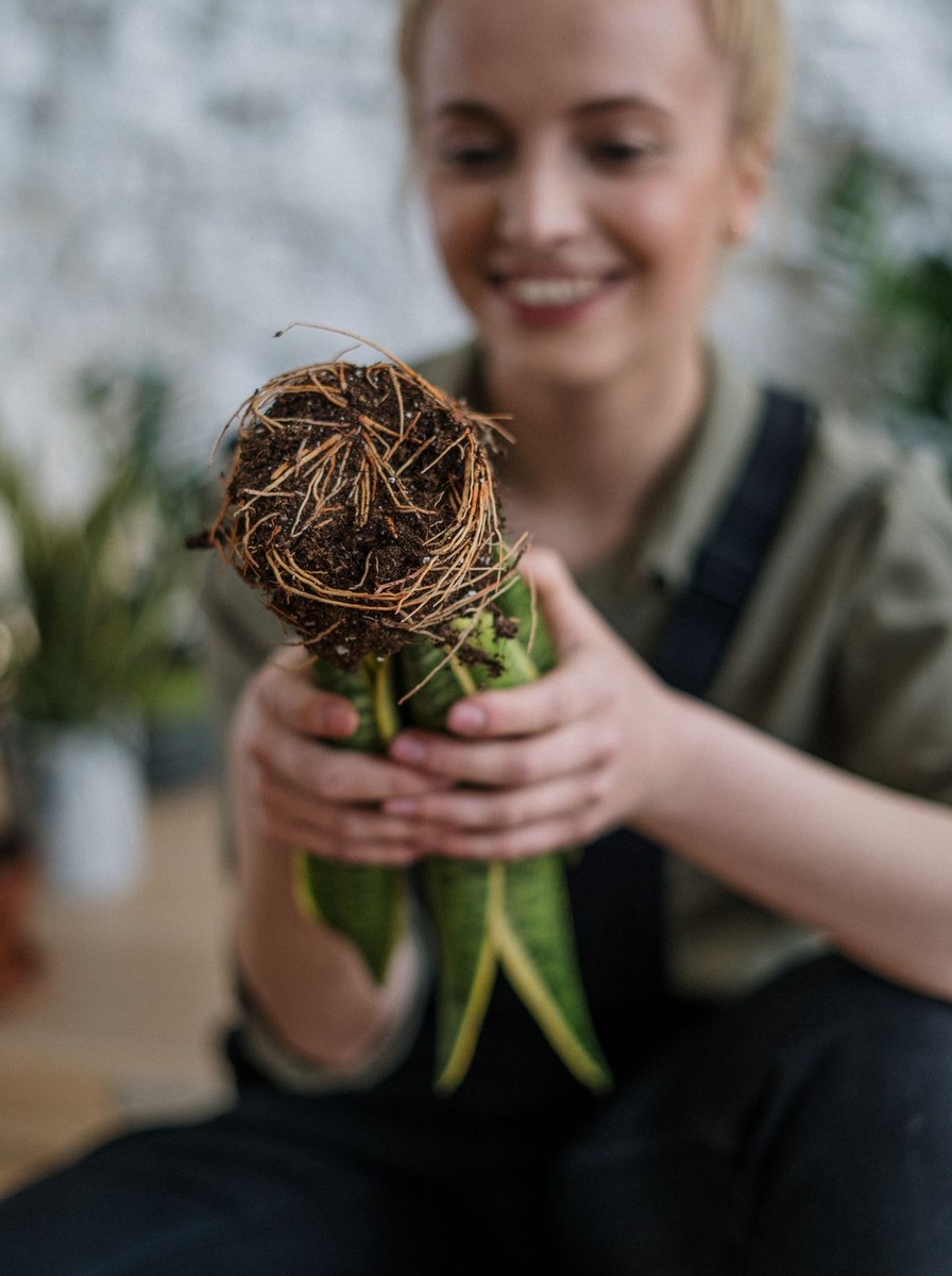 Amending garden soil and spacing perennial pots
