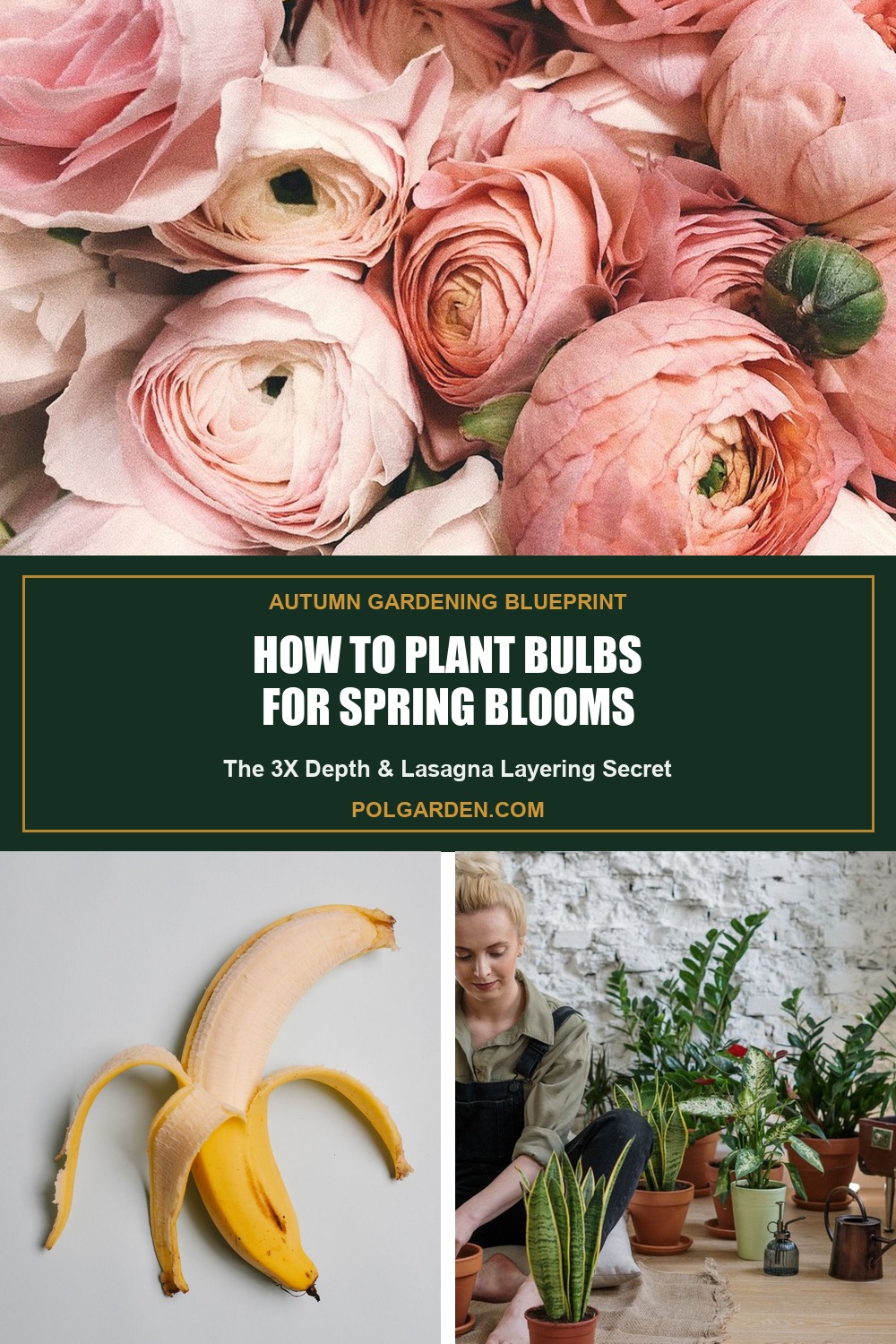 How to Plant Bulbs in Fall for Spring Blooms Pinterest Pin