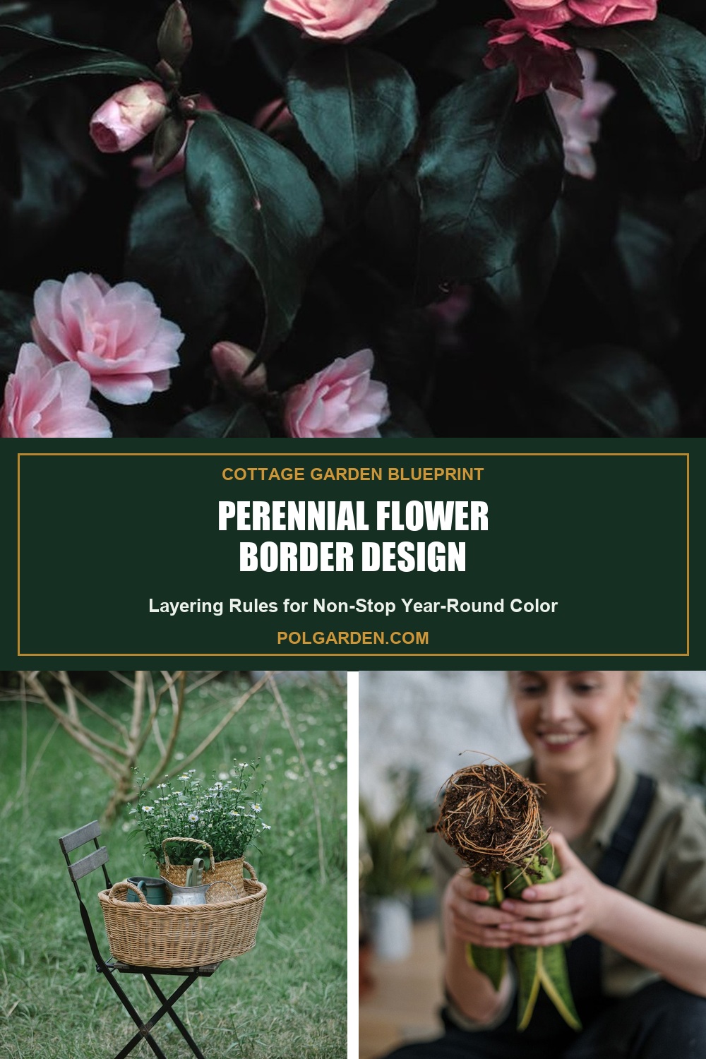 Perennial Flower Border Design Pinterest Pin