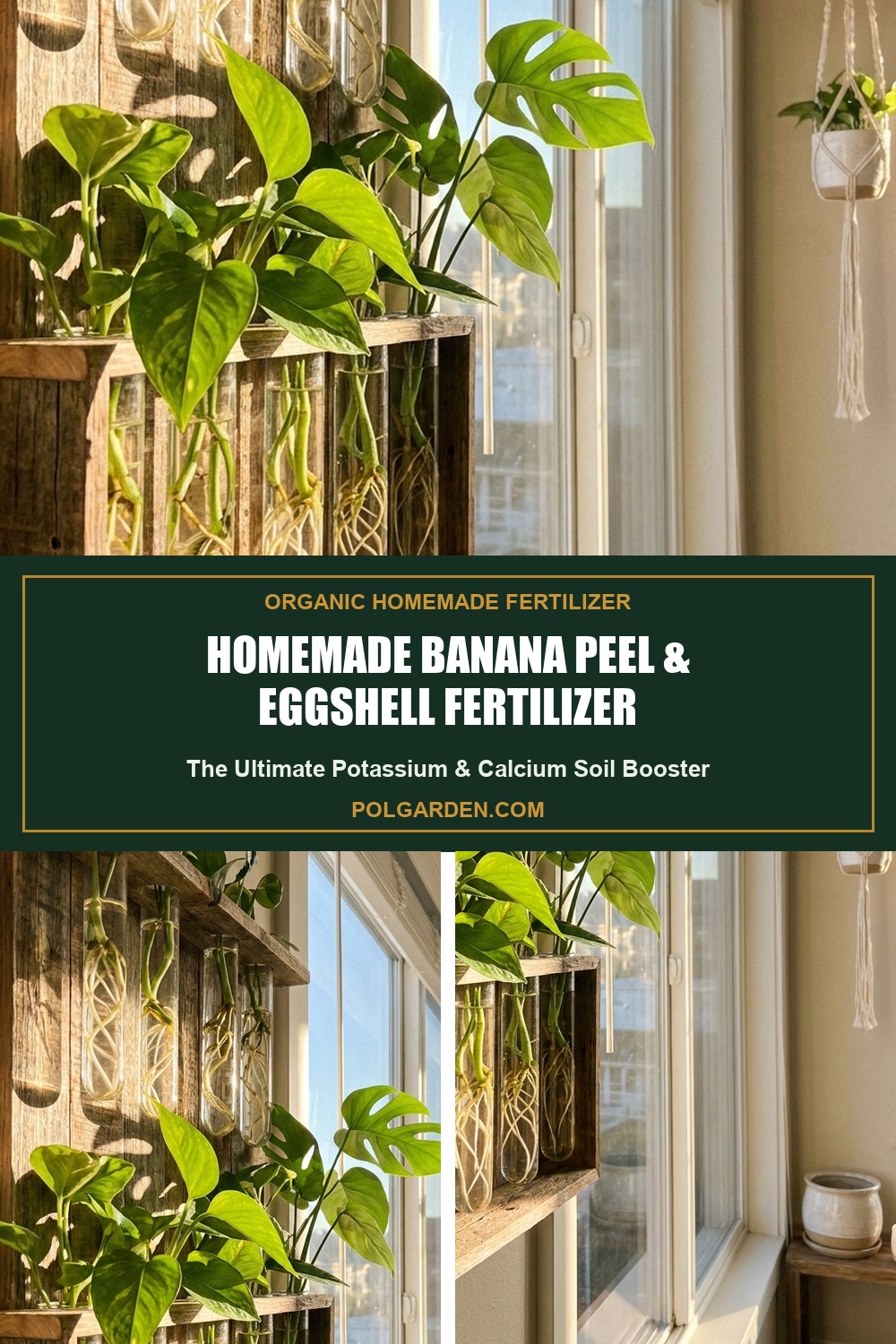 Homemade Banana Peel & Eggshell Organic Fertilizer Recipe