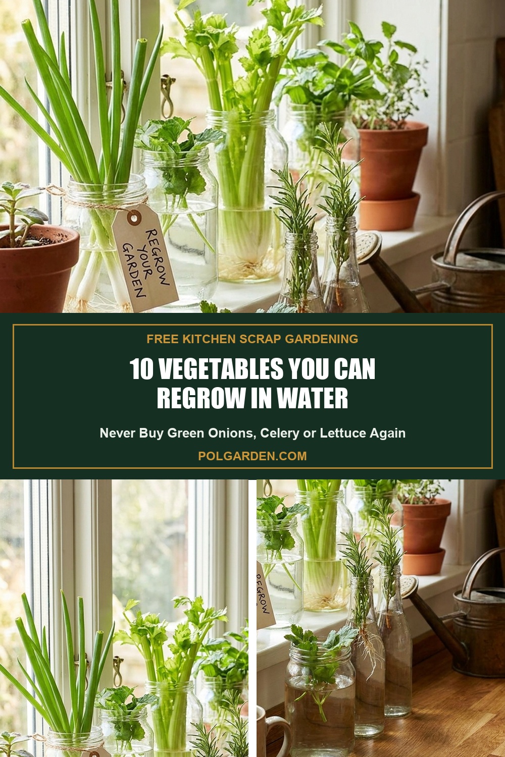 10 Kitchen Scrap Vegetables You Can Regrow in Water Forever