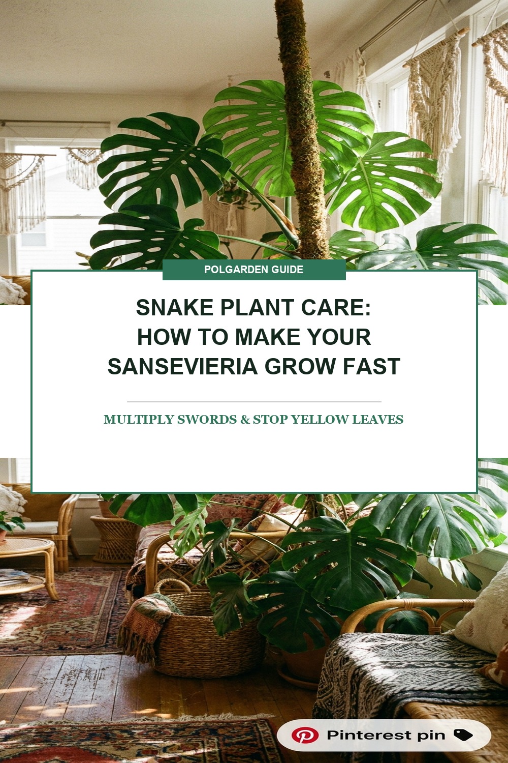 Snake Plant Care Secrets: How to Make Sansevieria Grow Fast Pinterest Pin Blueprint