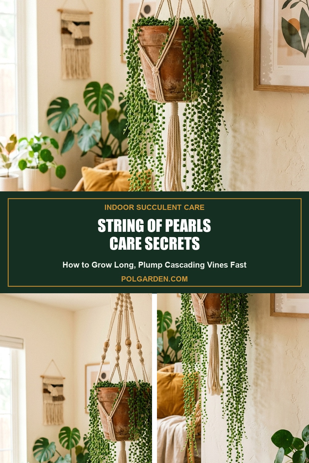 String of Pearls Care Secrets: Plump Cascading Vines