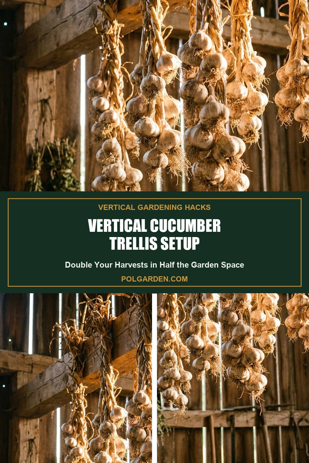 Vertical Cucumber Trellis Setup: Double Your Harvests